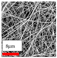 Polymers 17 03019 i059