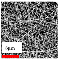 Polymers 17 03019 i060