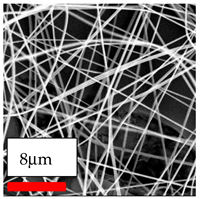 Polymers 17 03019 i061