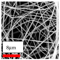 Polymers 17 03019 i062