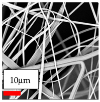 Polymers 17 03019 i063