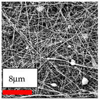 Polymers 17 03019 i064