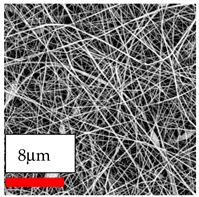 Polymers 17 03019 i065