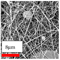 Polymers 17 03019 i066