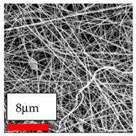 Polymers 17 03019 i067