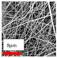 Polymers 17 03019 i068