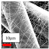 Polymers 17 03019 i069