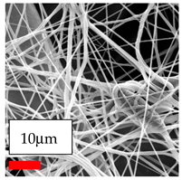 Polymers 17 03019 i071