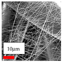 Polymers 17 03019 i072