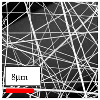 Polymers 17 03019 i073