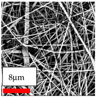 Polymers 17 03019 i074