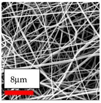 Polymers 17 03019 i075