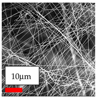 Polymers 17 03019 i076