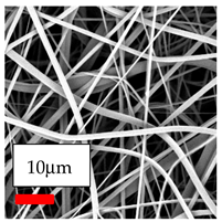 Polymers 17 03019 i077