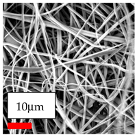 Polymers 17 03019 i078