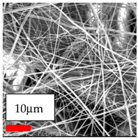 Polymers 17 03019 i079