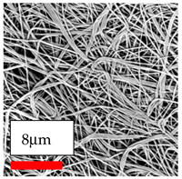 Polymers 17 03019 i080