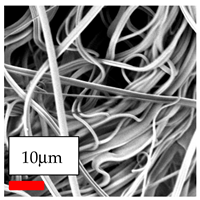 Polymers 17 03019 i081