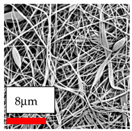 Polymers 17 03019 i082