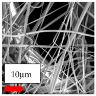 Polymers 17 03019 i083