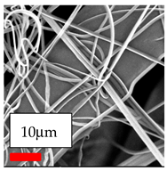 Polymers 17 03019 i084