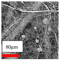 Polymers 17 03019 i085