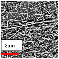 Polymers 17 03019 i086