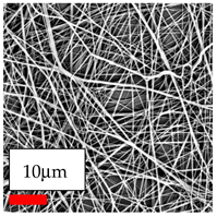 Polymers 17 03019 i087