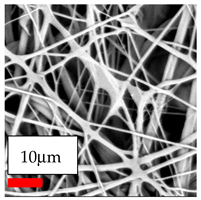 Polymers 17 03019 i088