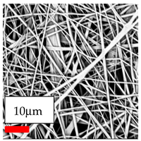 Polymers 17 03019 i089