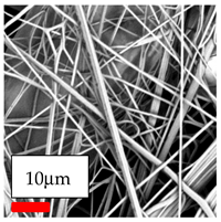 Polymers 17 03019 i090