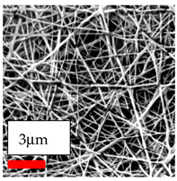 Polymers 17 03019 i091