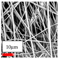 Polymers 17 03019 i092