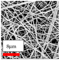 Polymers 17 03019 i093