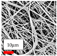 Polymers 17 03019 i094