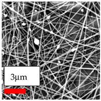 Polymers 17 03019 i095
