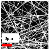Polymers 17 03019 i096