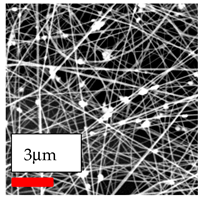 Polymers 17 03019 i097