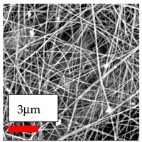 Polymers 17 03019 i098