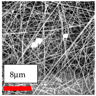Polymers 17 03019 i099