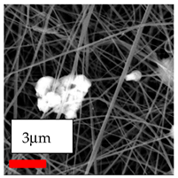 Polymers 17 03019 i100