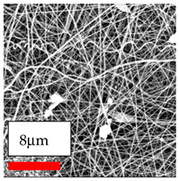 Polymers 17 03019 i101