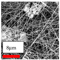 Polymers 17 03019 i102