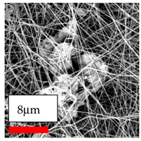 Polymers 17 03019 i103