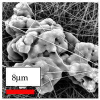 Polymers 17 03019 i104