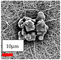 Polymers 17 03019 i105