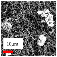 Polymers 17 03019 i108