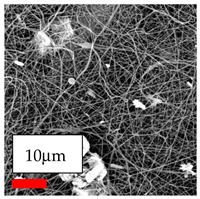 Polymers 17 03019 i109