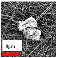 Polymers 17 03019 i110