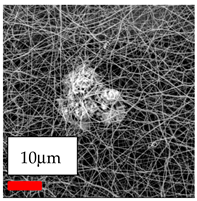 Polymers 17 03019 i111